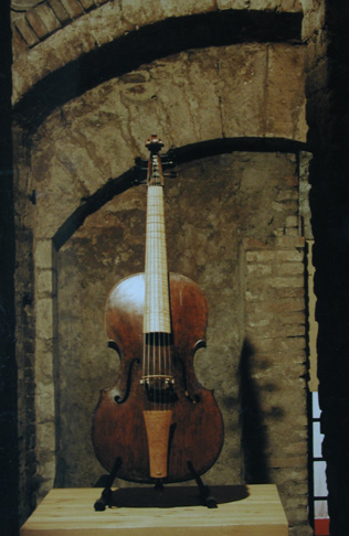 viola da gamba_maggini