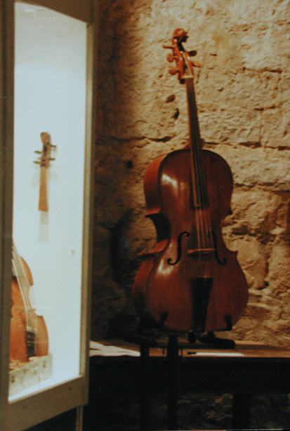 violoncello piccolo