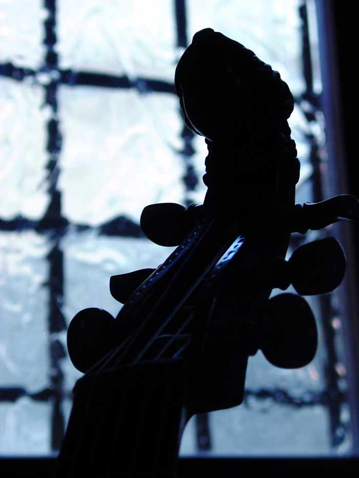 viola da gamba