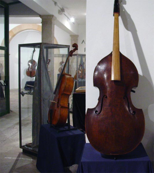 violone by Johann Georg Thir