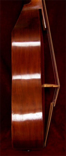 viola da gamba tenor by Gasparo da Salò