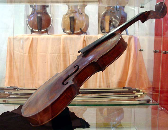 Viola 44cm