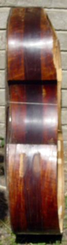 Viola da gamba, Anonymous German