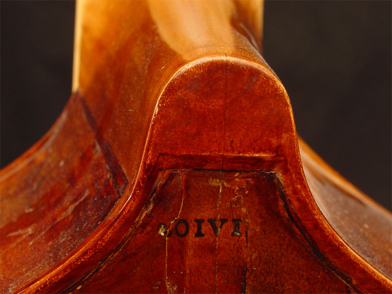 viola da gamba