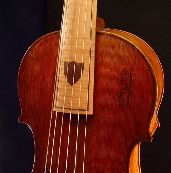 Viola da gamba by Gianbattista Grancino