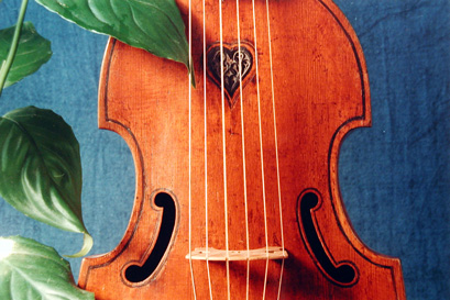 Viola da gamba