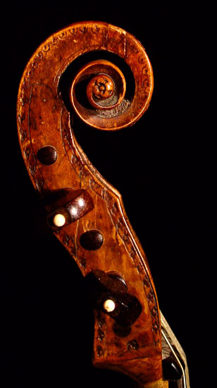 viola da gamba