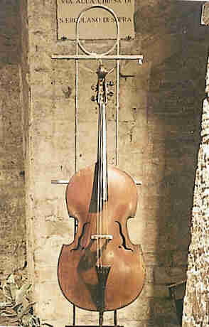 violone