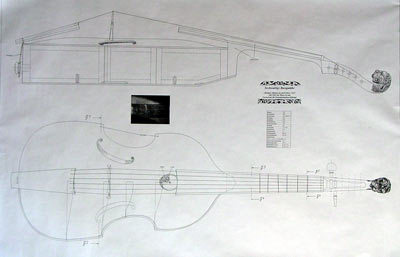 Plan for viola da gamba Albanus