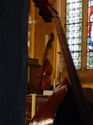 Baryton & Violone in D