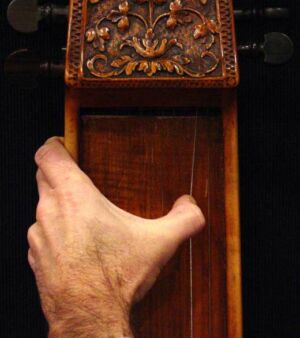 Viola di Pardone (Baryton)