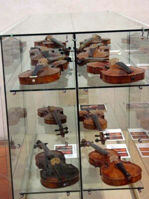 Violins