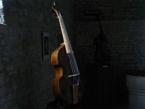 Viola da gamba