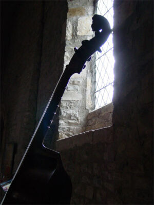 Viola da gamba